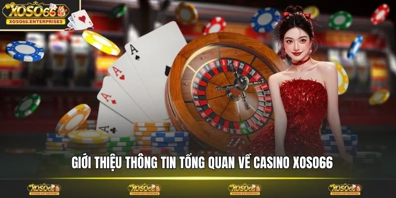 Giới thiệu thông tin tổng quan về casino XOSO66
