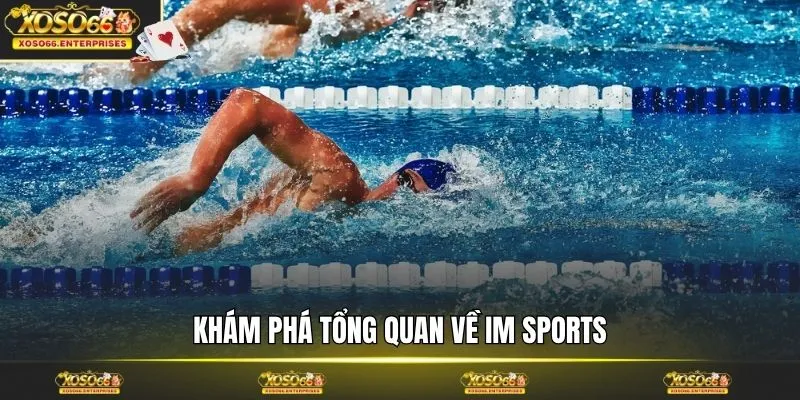 Khám phá tổng quan về IM Sports