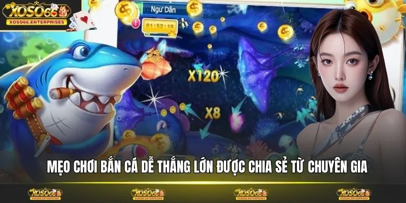 Mẹo chơi bắn cá dễ thắng lớn được chia sẻ từ chuyên gia