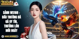 Sảnh WS168 - Đấu Trường Đá Gà Uy tín, Thưởng Lớn Mỗi Ngày