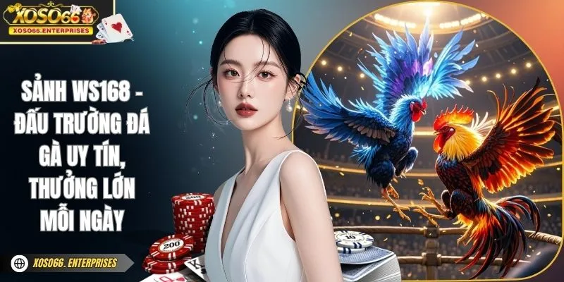 Sảnh WS168 – Đấu Trường Đá Gà Uy tín, Thưởng Lớn Mỗi Ngày 