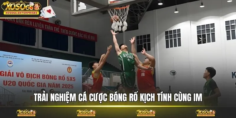 Trải nghiệm cá cược bóng rổ kịch tính cùng IM